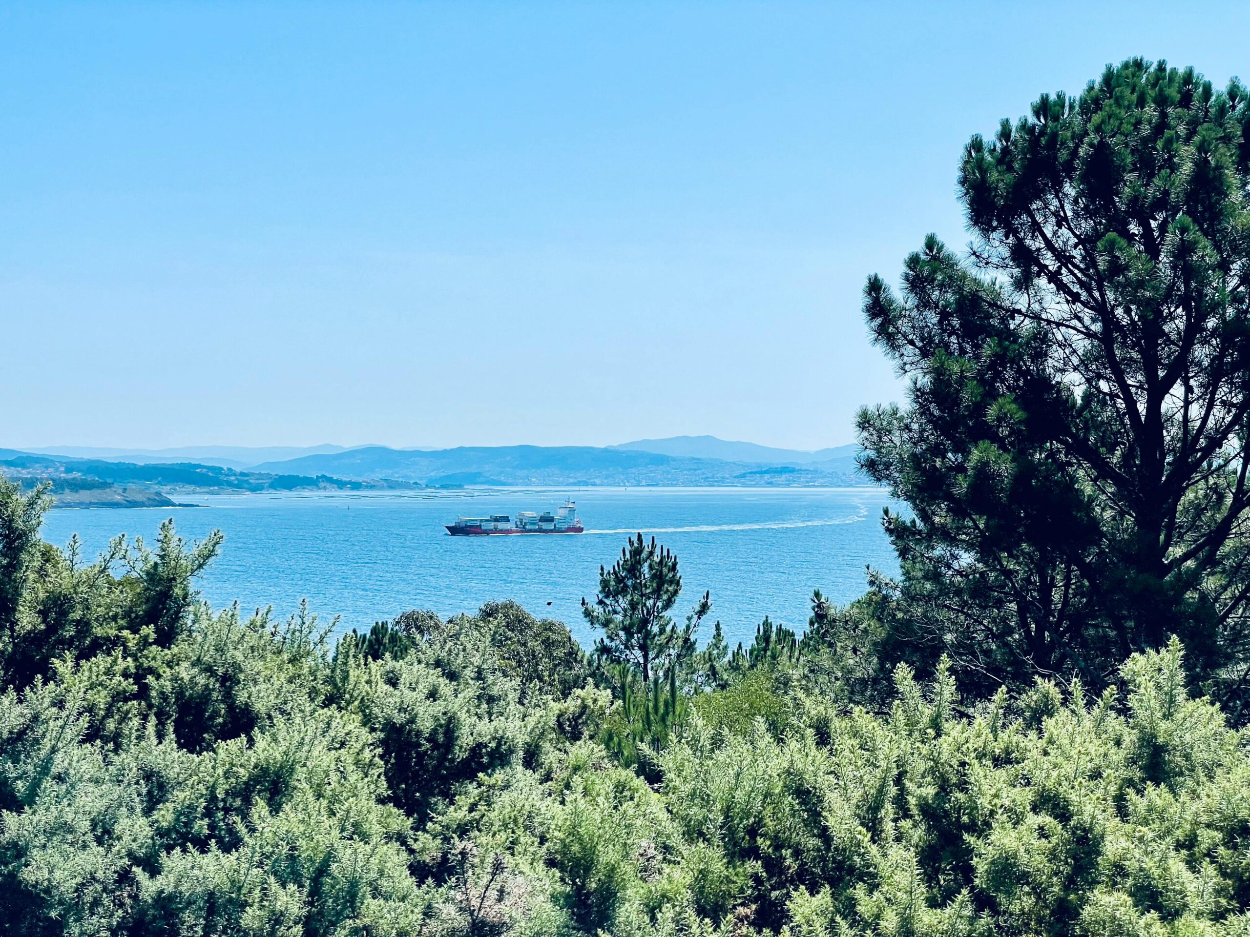 a scenic view of a cargo ship traversing the calm waters, framed by lush greenery in galicia, spain.